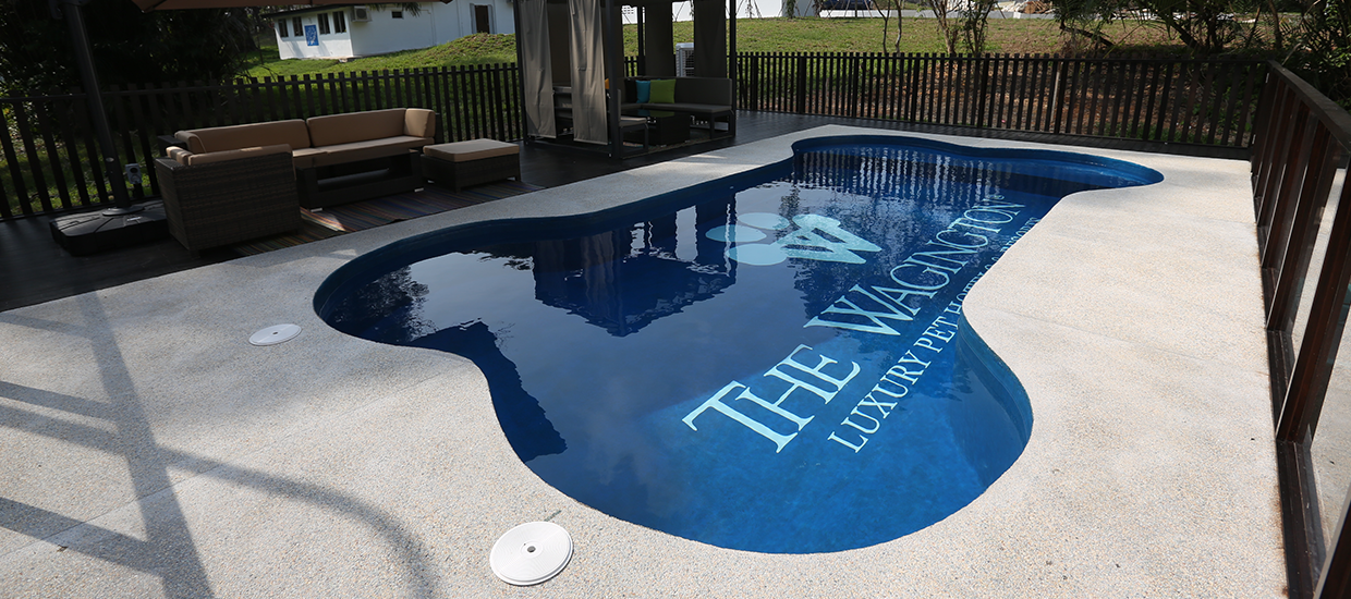 Slider-BonePool (1).png