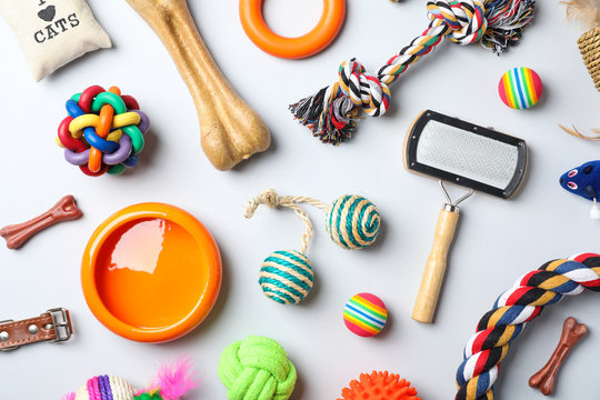 Test 1 - Dog  plush toy