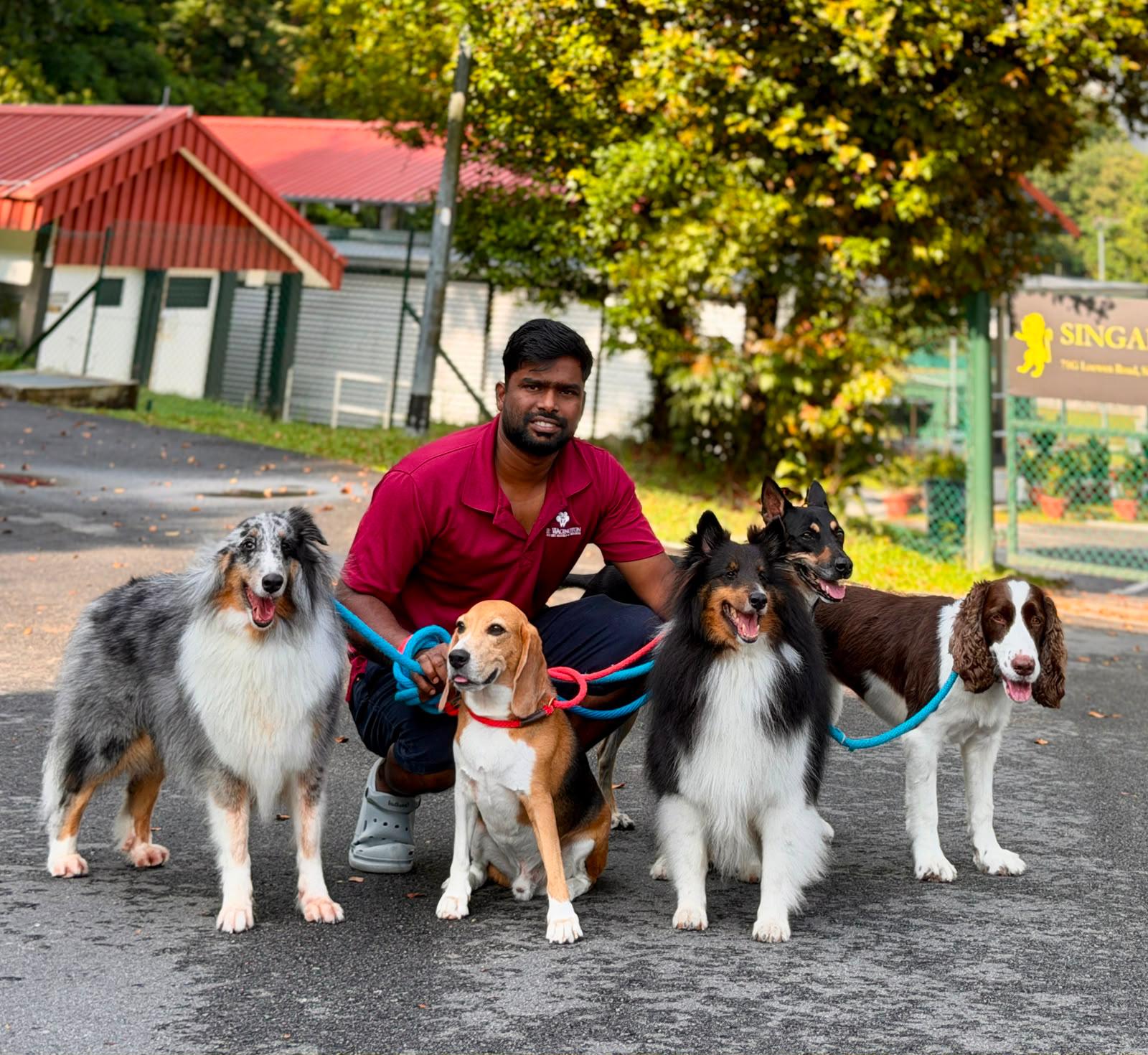 Test - 5 Days Daycare Package (Extra Large Dog)