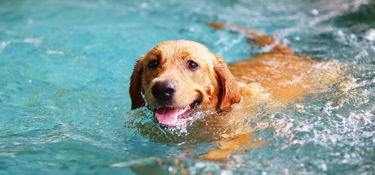Social Pool Package (10 Sessions)