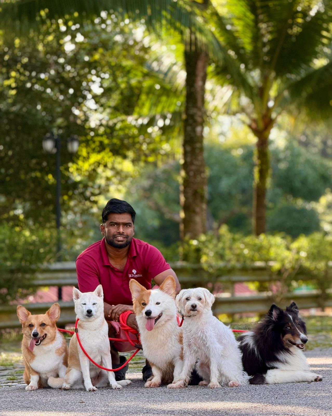Test - 5 Days Daycare Package (Medium Dog)