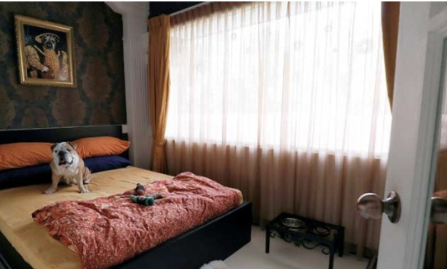 Grand Garden Suite - Image 2