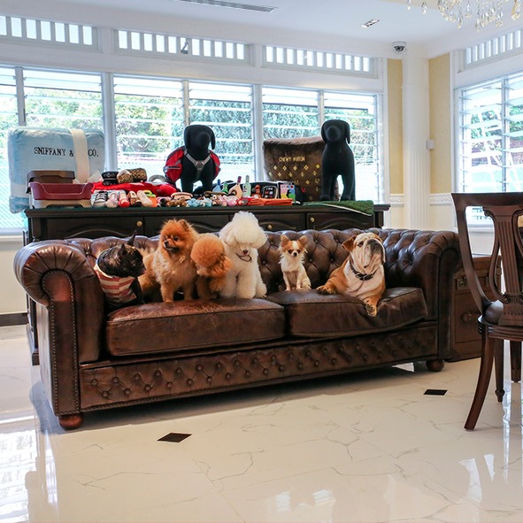 Junior Suite - Image 3