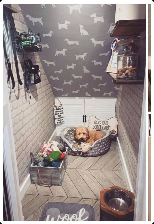 MultiDelux - Image 2