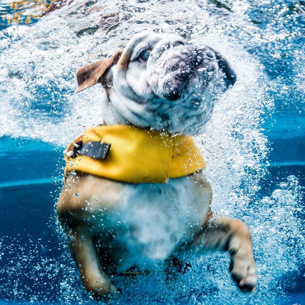 Public Pool 